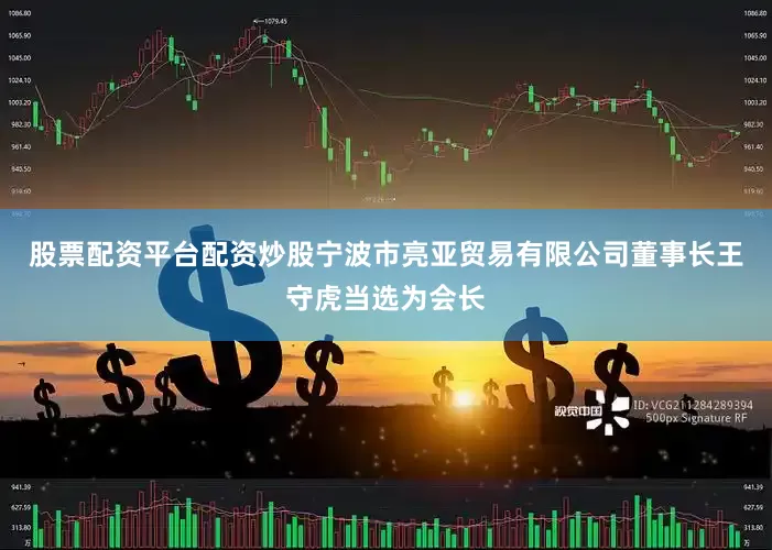 股票配资平台配资炒股宁波市亮亚贸易有限公司董事长王守虎当选为会长