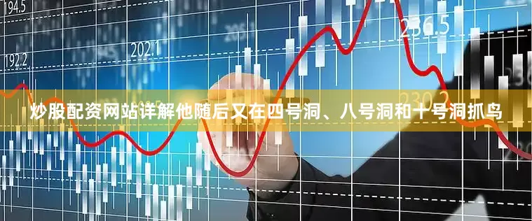 炒股配资网站详解他随后又在四号洞、八号洞和十号洞抓鸟
