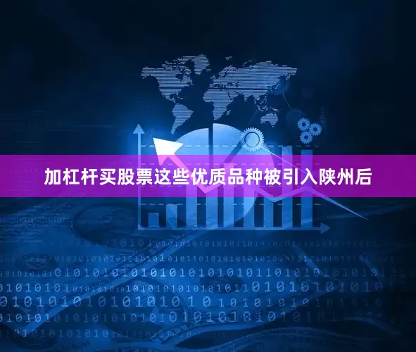 加杠杆买股票这些优质品种被引入陕州后
